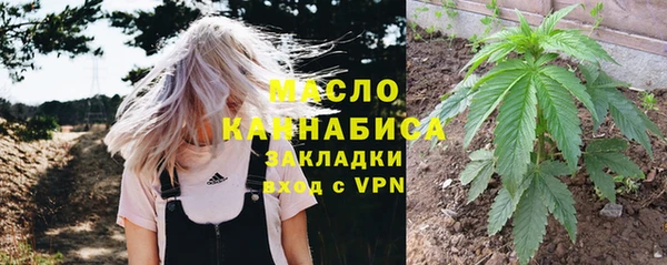 сатива Абинск
