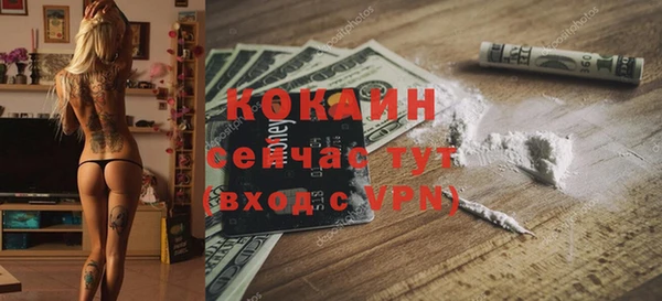 сатива Абинск
