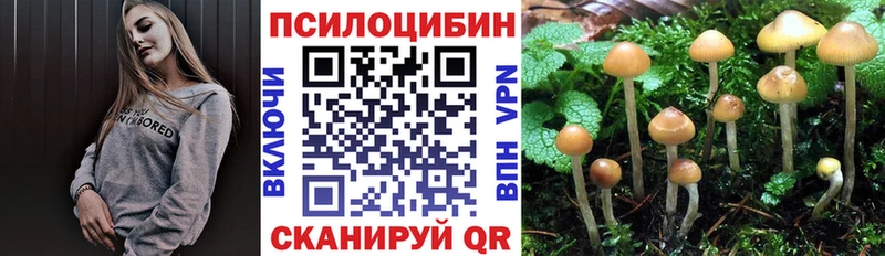 Галлюциногенные грибы прущие грибы  наркошоп  Костерёво 